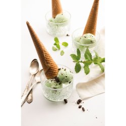 Fritel IM1252 Ice Cream Maker Ismaskine