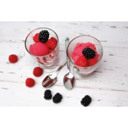 Fritel IM1252 Ice Cream Maker Ismaskine